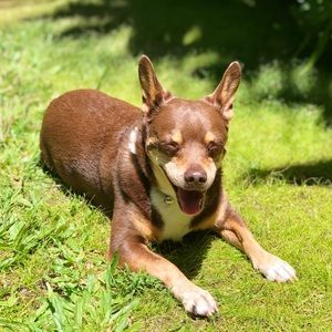 Meet your Posher, Kana